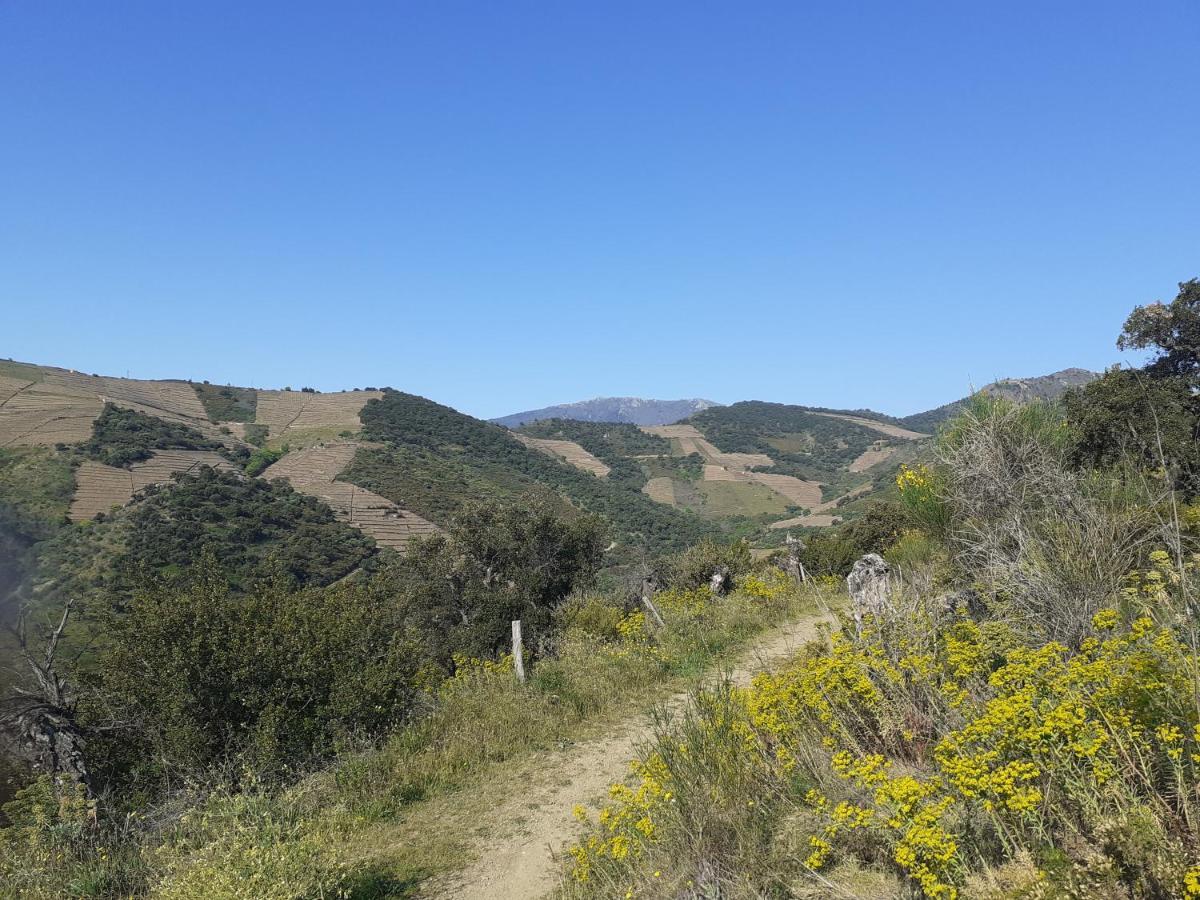 Appartamento Casa Azul & Blanca Banyuls-sur-Mer Esterno foto